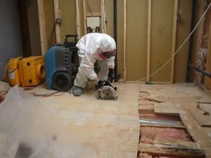 Water Damage Restoration And Mold Removal Services