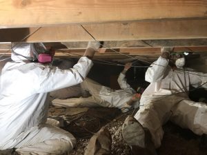 Technicians Repairing Water Damage In A Crawlspace