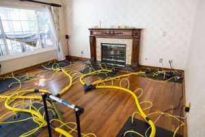 Drying and Dehumidifying Services In A Residential Property